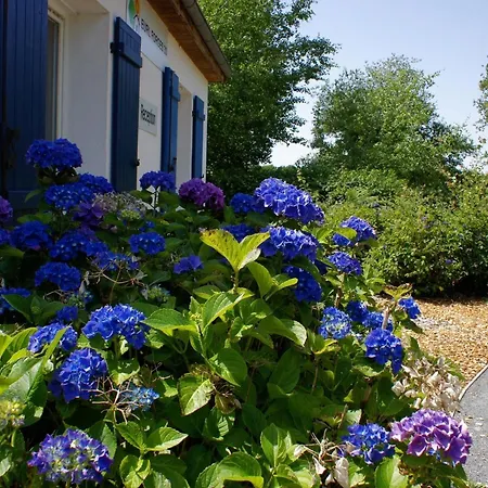 In Parthenay With Bubble Bath Les Forges